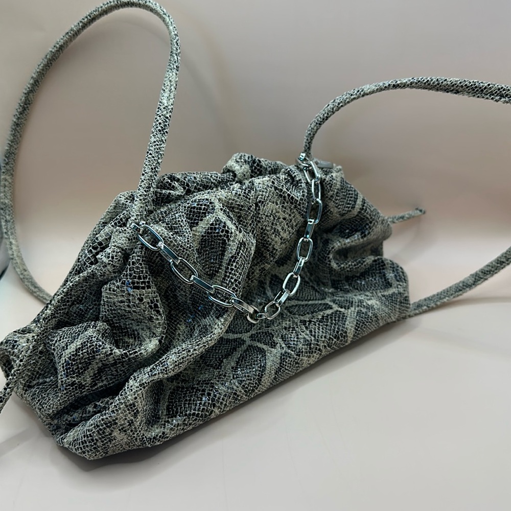Express small chain snakeskin python crossbody